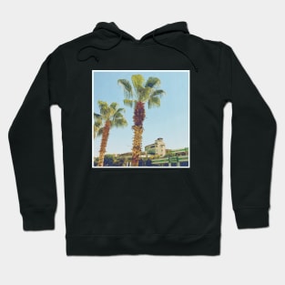 Pretty picture of a Palm Tree. Pretty Palm Trees Photography design with blue sky Hoodie